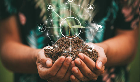 eco