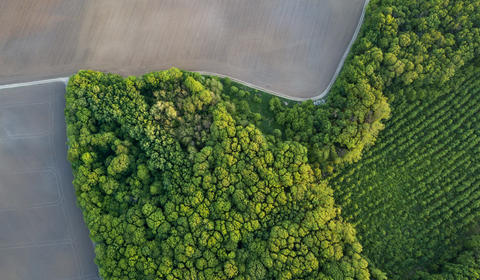 sustainability eco 