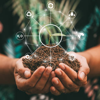 eco