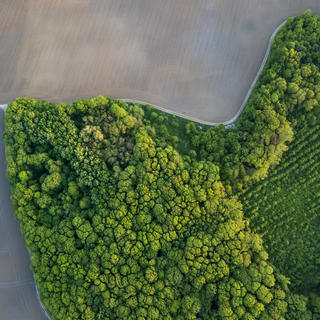 sustainability eco 