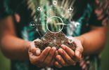 carbon footprint