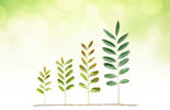 eco
