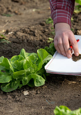 Certyfikacja integrowanej produkcji roślin