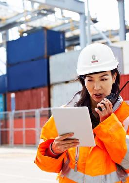 Inspekcje i usługi rządowe