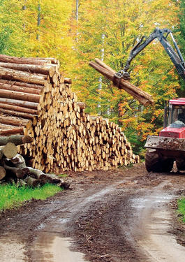 Certyfikacja Paper by Nature