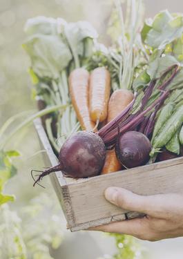 Produkcja rolno-spożywcza