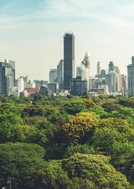 eco