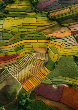 food eco sustainability 