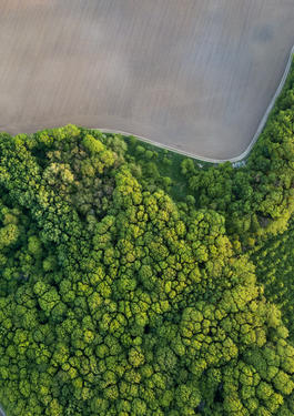 sustainability eco 