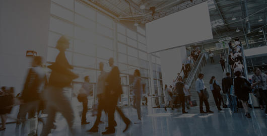 kontakt Bureau Veritas