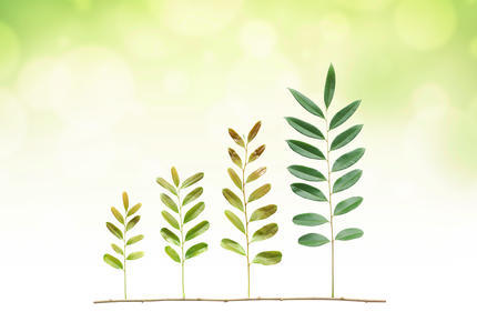 eco