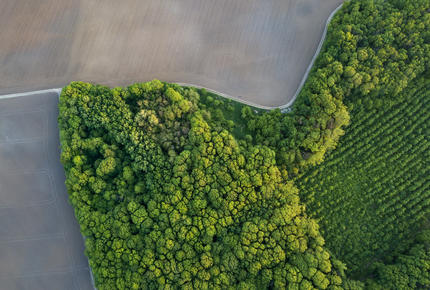 sustainability eco 